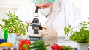 tecnoalimentos