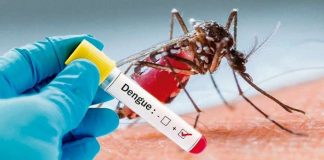 Lanzaron plan de prevención del dengue en Pilar y Quilmes