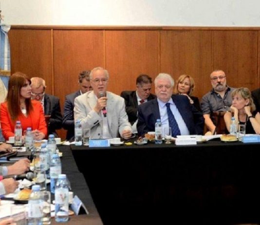Evitar el colapso del sistema y frenar el brote de sarampión, temas prioritarios del CoFeSa