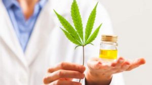 epilepsia-cannabis