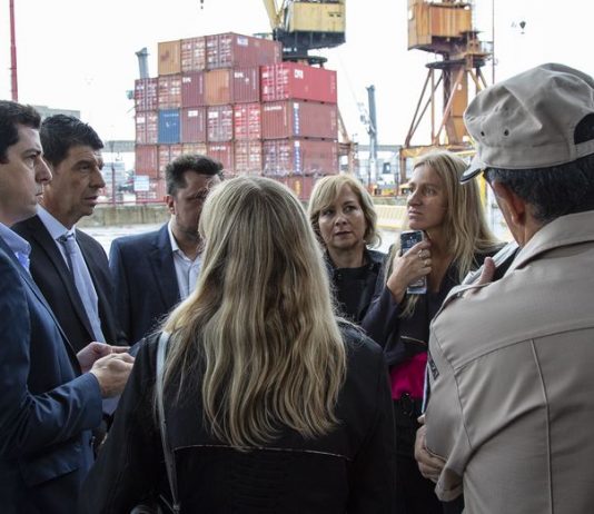 No se registraron personas con síntomas compatibles con Covid-19 en crucero proveniente de Brasil