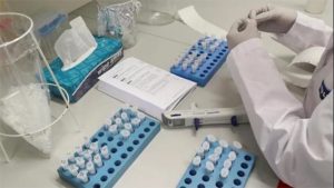 coronavirus 6