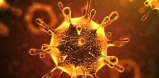 La cepa del coronavirus que llegó a Europa no sería la misma que se produjo en China