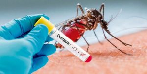dengue-1-730x369