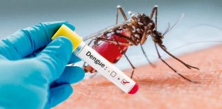 Confirman 2.942 casos de dengue y 6 fallecidos