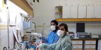 Coronavirus: ya son 13 los laboratorios de la Provincia que analizan las muestras