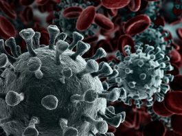 Recomendaciones para minimizar la transmisión del nuevo Coronavirus entre convivientes