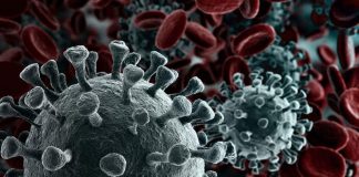 Recomendaciones para minimizar la transmisión del nuevo Coronavirus entre convivientes