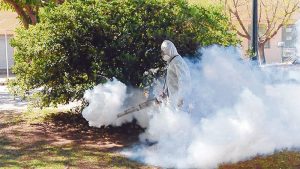dengue aumento de casos