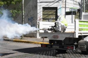 dengue tigre