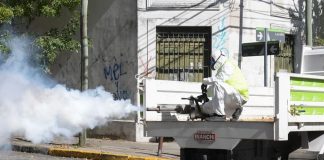 El Municipio de San Fernando continúa sin pausa la prevención del dengue
