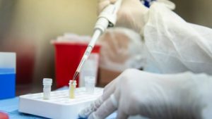 invetigacion coronavirus2