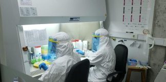 Provincia: ya hay 18 laboratorios que diagnostican coronavirus