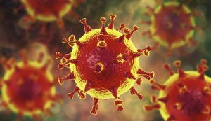 coronavirus-2