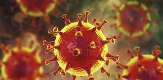 Coronavirus: preguntas y respuestas para prevenir