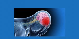 Fleni suma moderno software para ACV