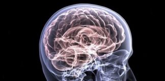 Esclerosis Múltiple: la importancia de las conexiones durante la pandemia