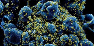 Claves para frenar la velocidad de contagio, según especialistas