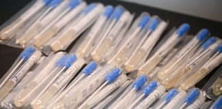 Coronavirus: los números de los testeos en Flores