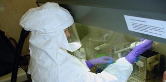 ¿La vacuna contra el COVID-19 podría estar disponible en octubre?