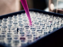 Argentina: desarrollan un suero que neutralizó al SARS-CoV-2