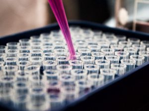 investigadores suero covid