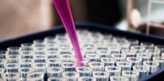 Argentina: desarrollan un suero que neutralizó al SARS-CoV-2