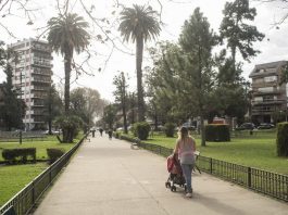 Salidas recreativas: cómo disfrutarlas al máximo cuidándose