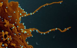 coronavirus-tentaculos