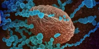 Un grupo de más de 200 científicos alerta sobre la transmisión aérea del COVID-19