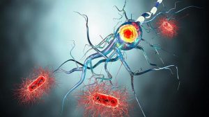 covid afecta al cerebro