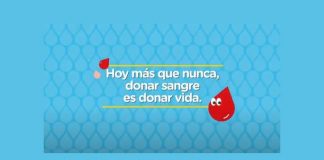 Coronavirus: nuevo esquema para la donación voluntaria de sangre