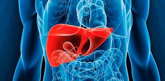 Día Mundial contra la Hepatitis: la importancia de prevenir