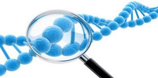 Nuevo Biosimilar de rituximab para el tratamiento de enfermedades oncohematológicas y reumatológicas