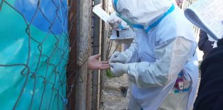 COVID-19: Tigre y Provincia realizaron un operativo de detección de anticuerpos a familias del barrio San Jorge