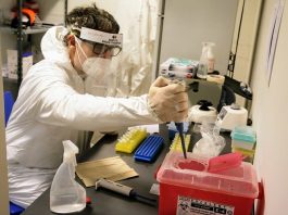 San Martín: el nuevo Laboratorio del Thompson ya analizó más de 800 test rápidos de Covid-19