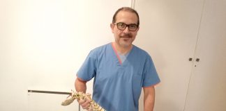 Cuándo recurrir a un osteópata: Gustavo Mareco en Noticias de Salud Radio