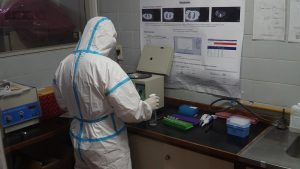 investigacion covid 2