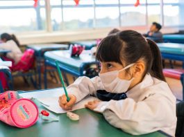 La SAP afirma que es imprescindible la vuelta a las escuelas en la modalidad presencial