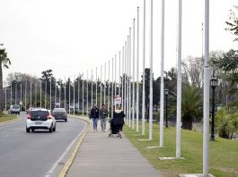 Covid-19: Tigre mejora su situación epidemiológica