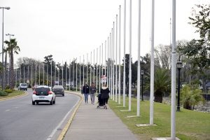 tigre covid 1