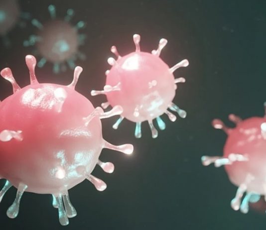 Covid-19: el Malbrán encontró en Argentina una cepa con la variante de Río de Janeiro