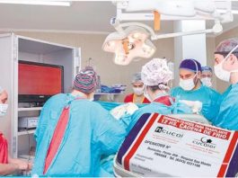 En pandemia Argentina superó los 500 trasplantes de órganos