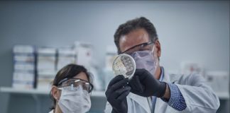 Covid-19: debate por el uso del suero equino