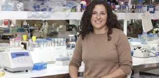 Científica argentina lideró estudio sobre cómo ingresa el covid-19 a las células