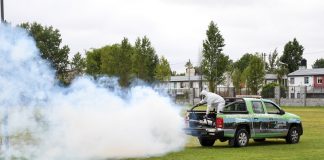 San Fernando: nuevos operativos de prevención contra el dengue y mosquitos