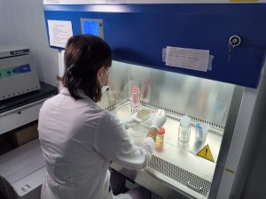 Nuevos equipos Materno Infantil 2