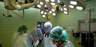 Cerca de 1500 argentinos esperan un trasplante hepático