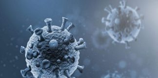 Covid-19: información falsa sobre la variante XBB