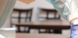 Covid-19: estudios de inmunidad celular T demuestran potente respuesta en vacunados